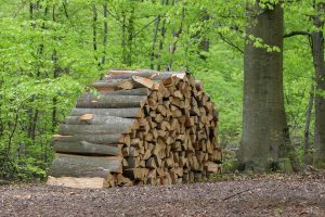 Brennholz trocknen - Meterstücke gestapelt